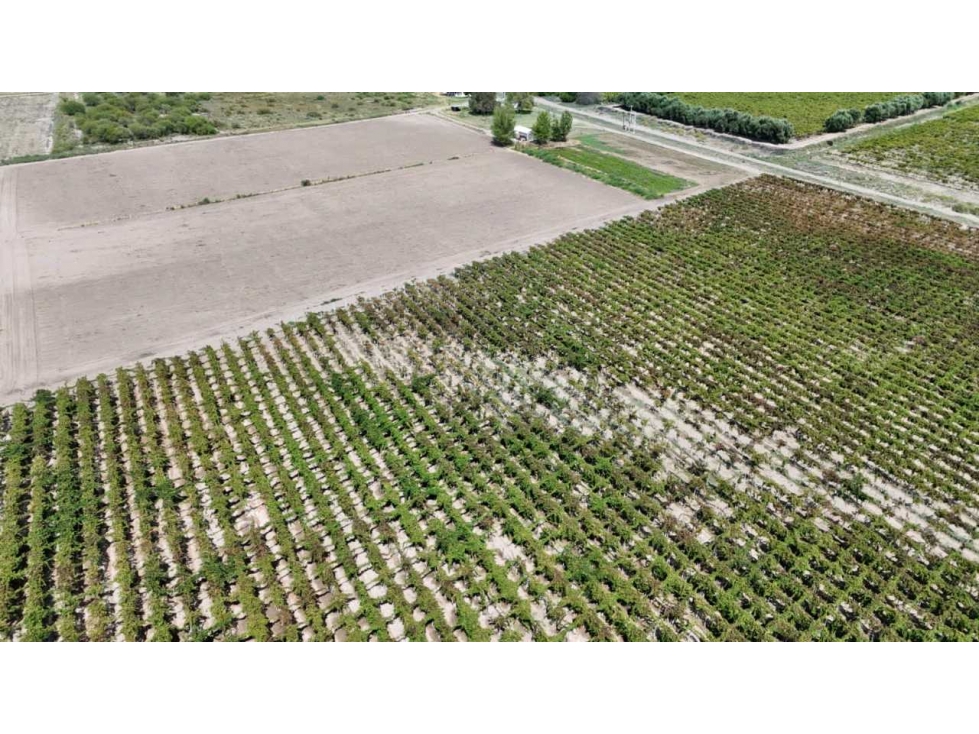 VENTA DE FINCA DE 79 HAS SAN MARTÍN, MZA. - 4