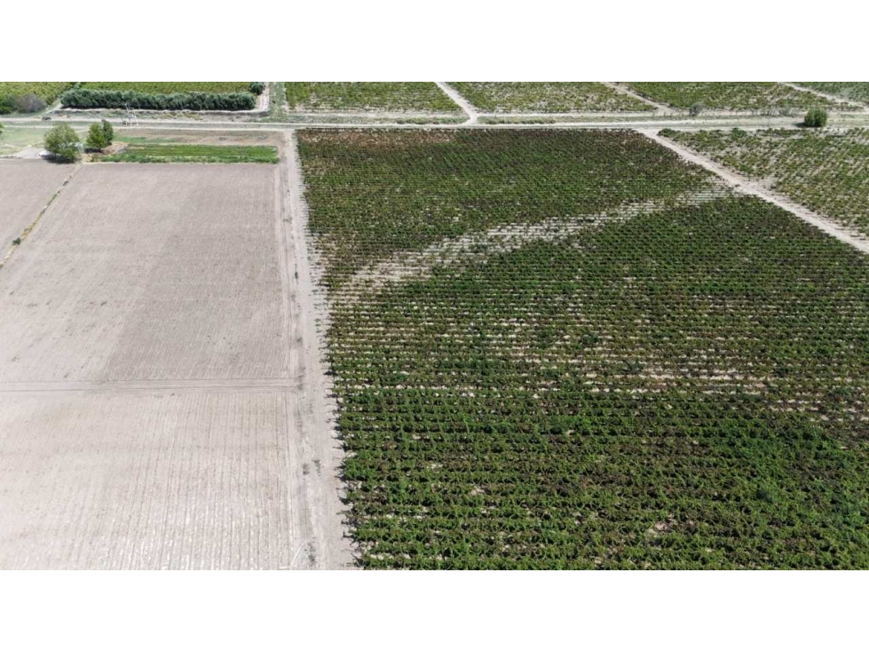 VENTA DE FINCA DE 79 HAS SAN MARTÍN, MZA. - 5