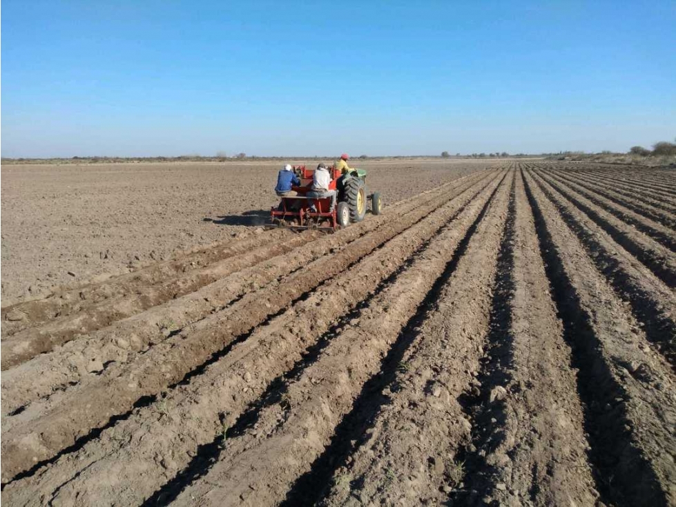 VENTA DE FINCA DE 79 HAS SAN MARTÍN, MZA. - 2