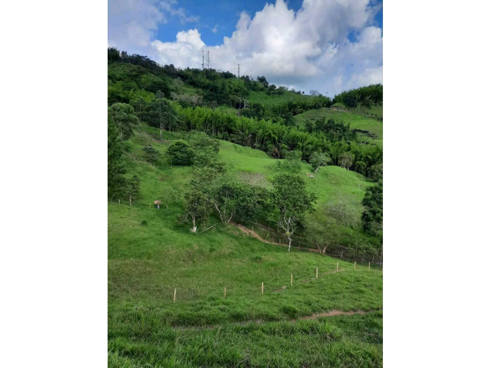 VENTA DE FINCA MODIN CARTAGO VALLE - 2