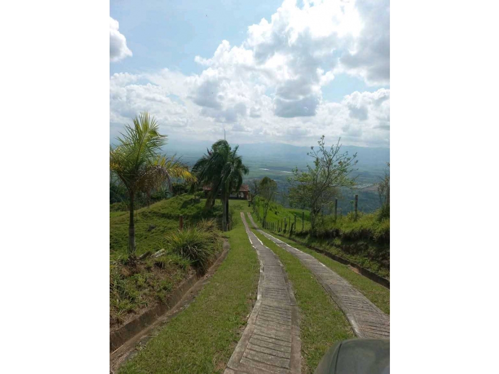 VENTA DE FINCA MODIN CARTAGO VALLE - 4