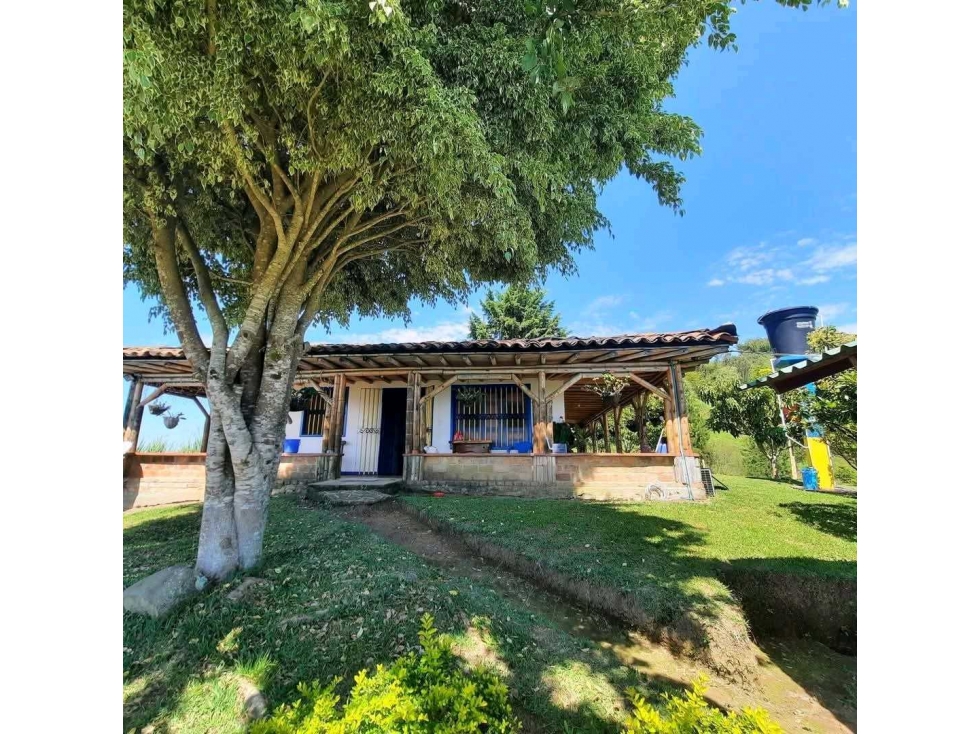 VENTA DE FINCA MODIN CARTAGO VALLE - 5