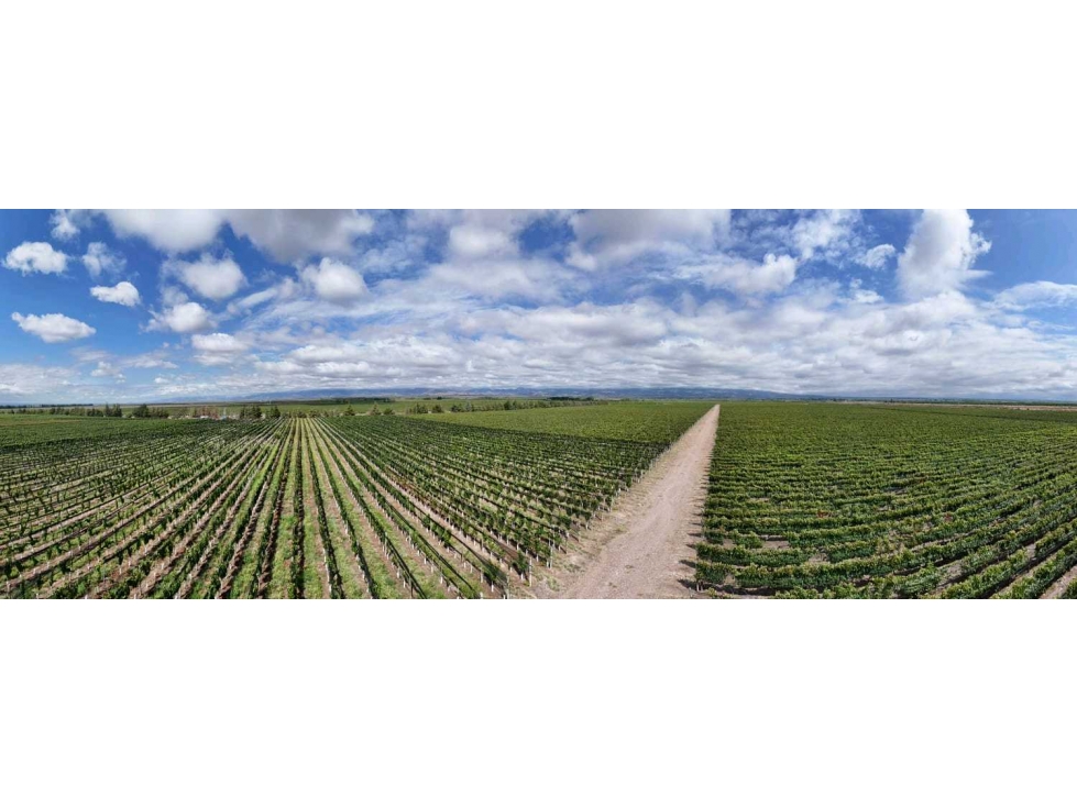 VENTA DE FINCA ÚNICA DE 275 HAS - EN TUNUYAN, MENDOZA. - 2