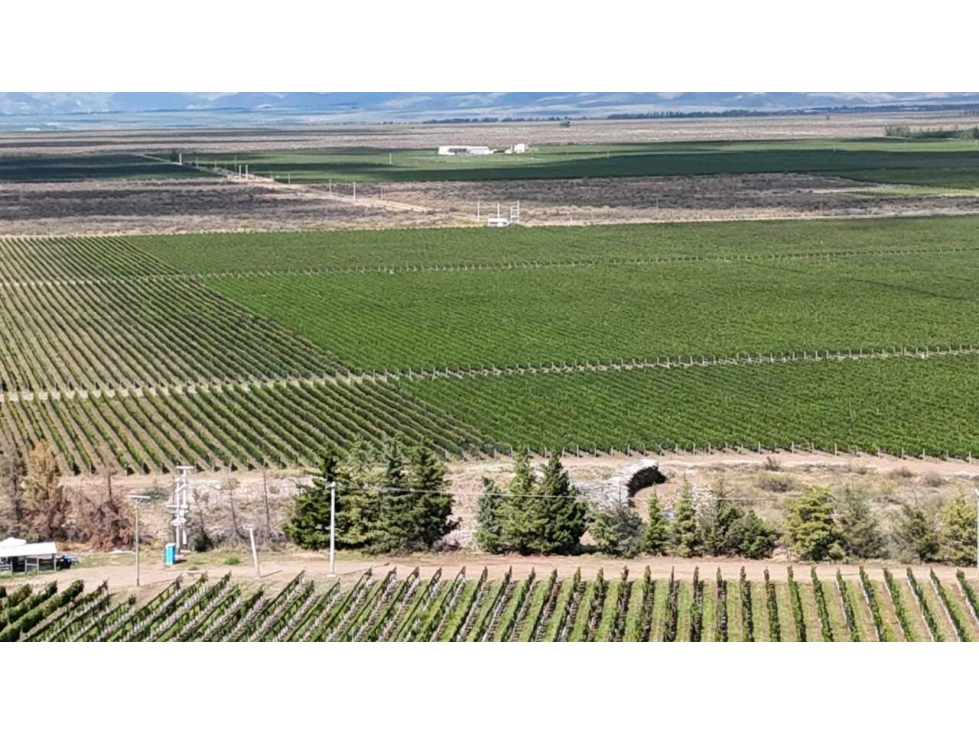 VENTA DE FINCA ÚNICA DE 275 HAS - EN TUNUYAN, MENDOZA. - 3