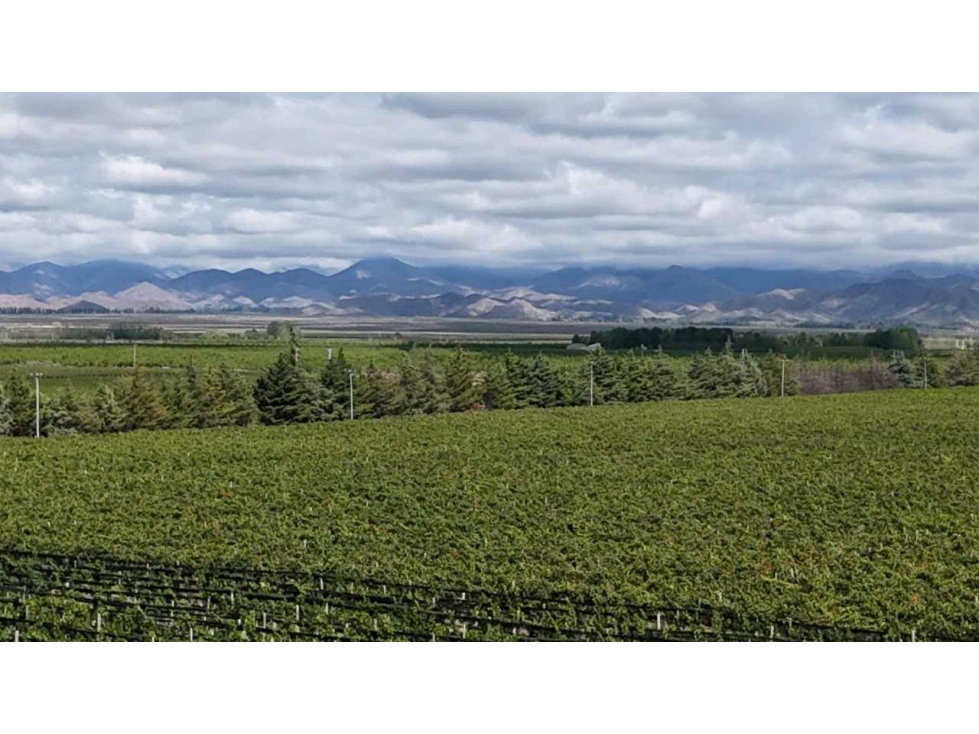 VENTA DE FINCA ÚNICA DE 275 HAS - EN TUNUYAN, MENDOZA. - 5