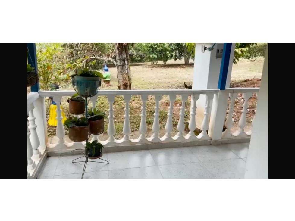 VENTA DE FINCA EN NILO CUNDINAMARCA ENTRE GIRARDOT Y MELGAR - 3