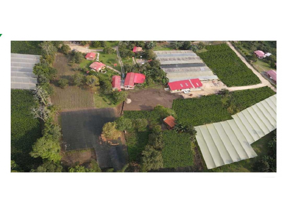Venta de Finca productiva en Cachipay - 2
