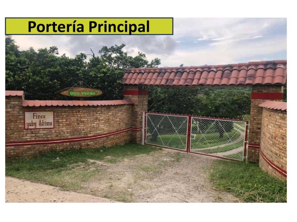 Venta de Finca productiva en Cachipay - 3