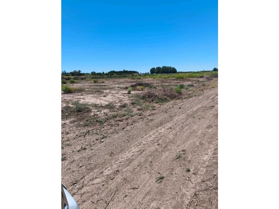 VENTA DE FINCA PRODUCTIVA Y COMPLETA 10 HAS EN PHILLIP, JUNIN, MENDOZA - 6