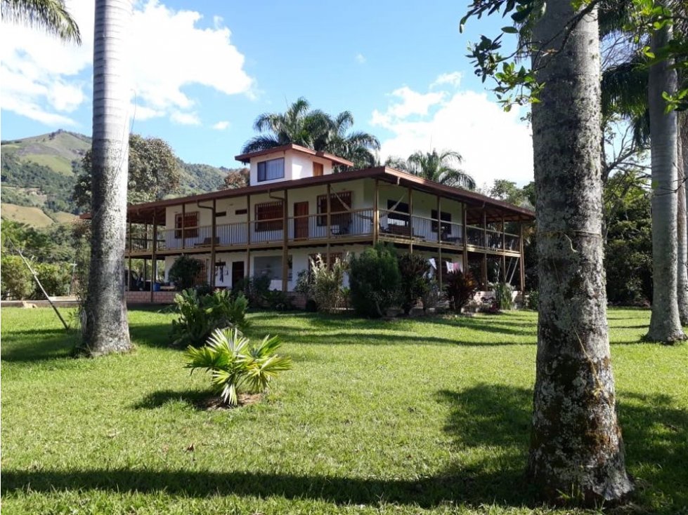 VENTA DE FINCA SECTOR VIA ABEJORRAL - LA PINTADA - 2