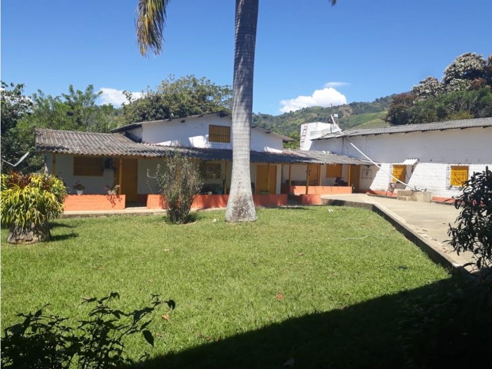 VENTA DE FINCA SECTOR VIA ABEJORRAL - LA PINTADA - 3