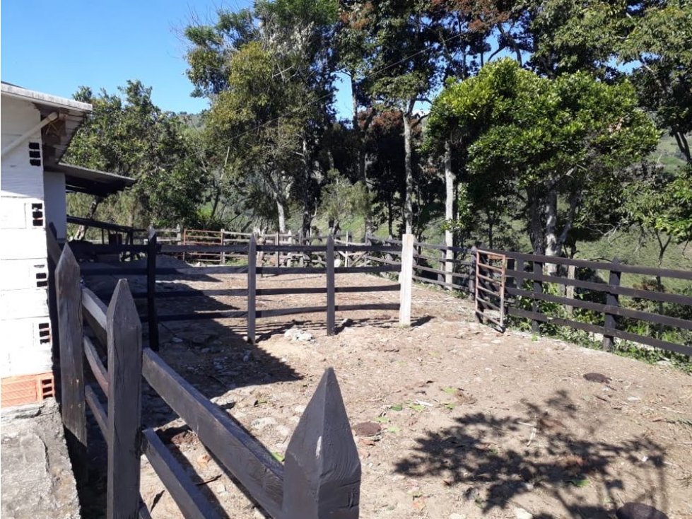 VENTA DE FINCA SECTOR VIA ABEJORRAL - LA PINTADA - 4