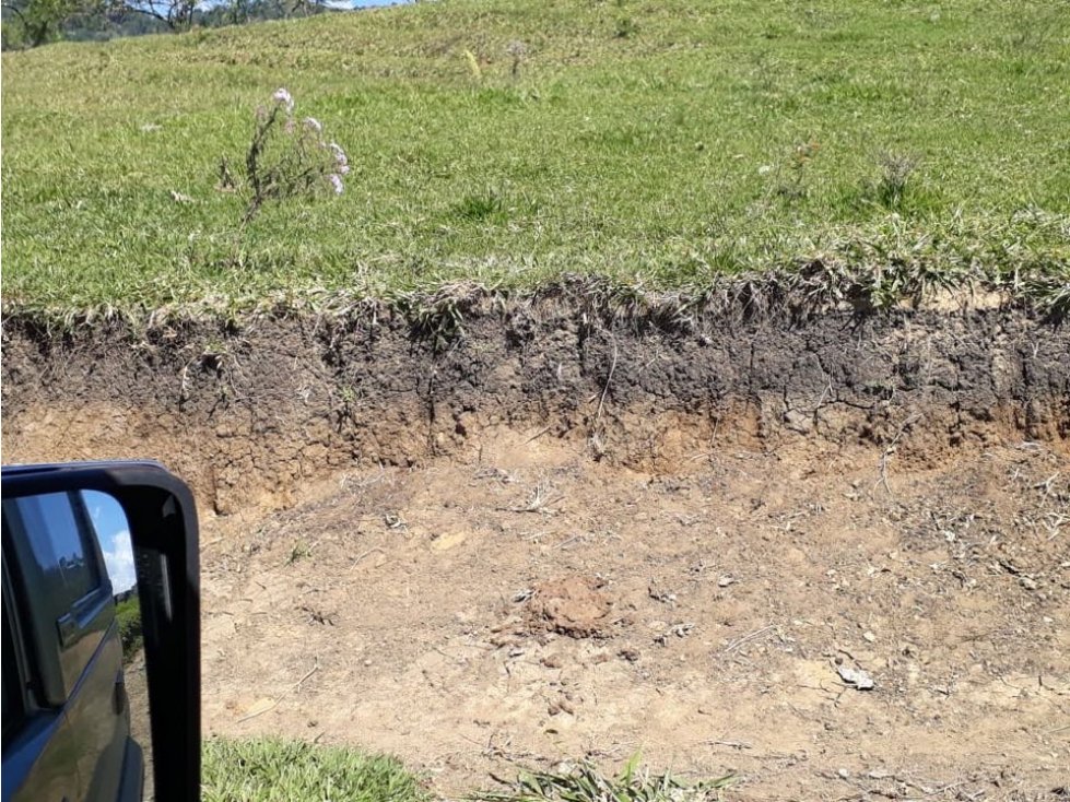 VENTA DE FINCA SECTOR VIA ABEJORRAL - LA PINTADA - 5