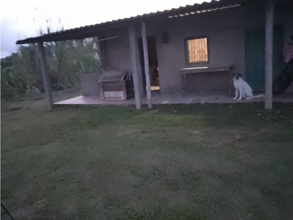 Venta de finca tradicional campesina en san Rafael antioquia - 2