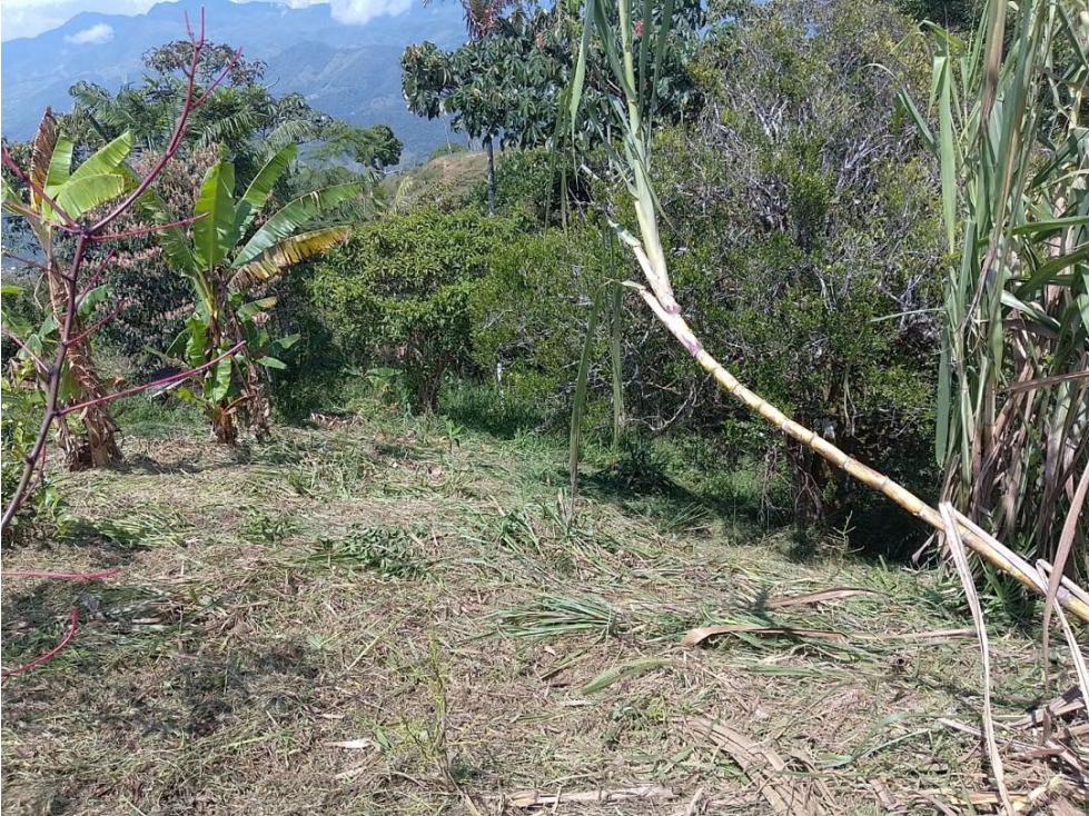 Venta de finca tradicional campesina en san Rafael antioquia - 6