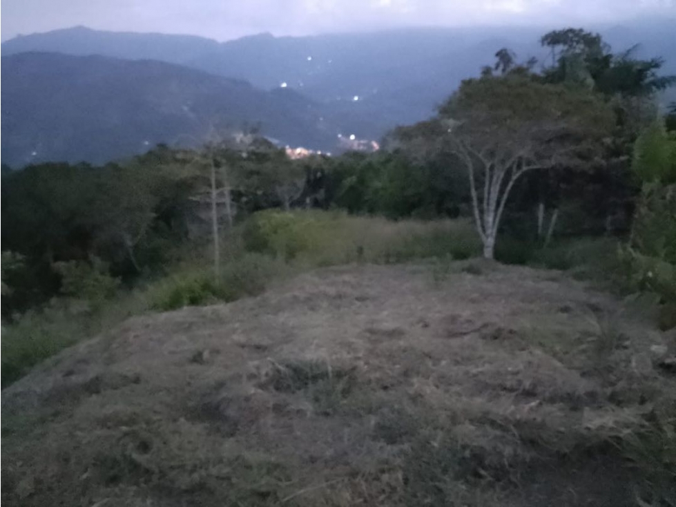 Venta de finca tradicional campesina en san Rafael antioquia - 4