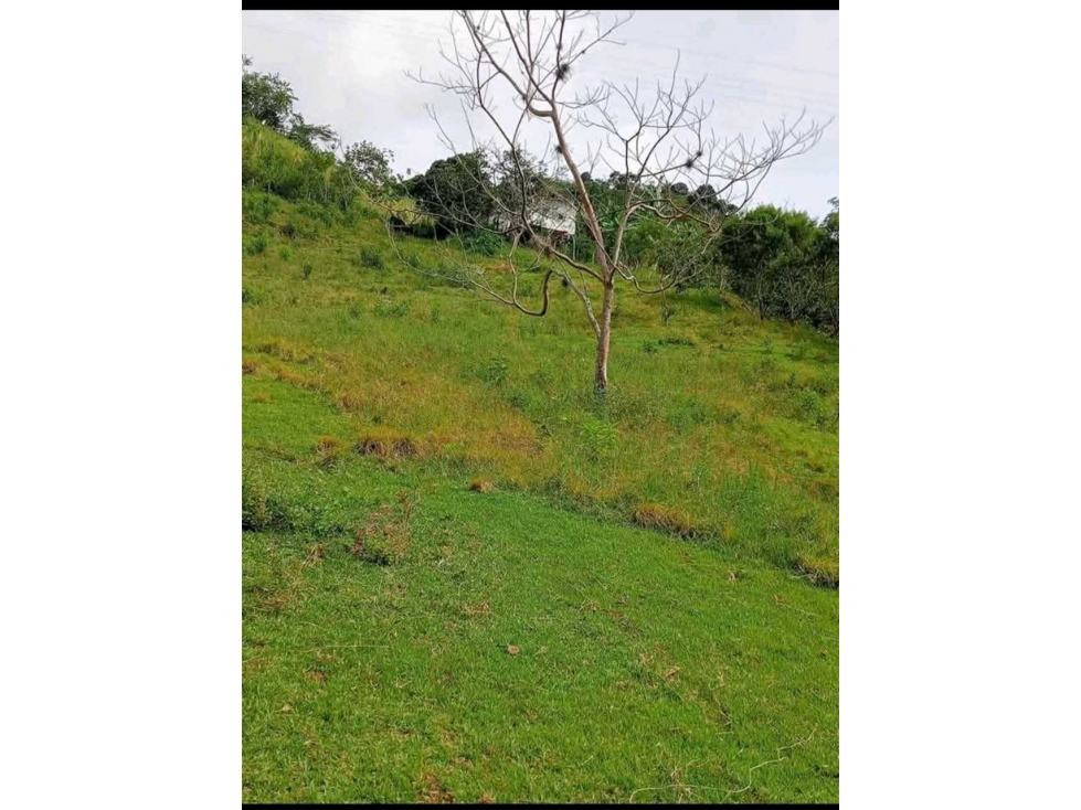 VENTA DE FINCA TRUJILLO VALLE - 4