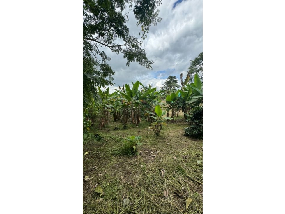 VENTA DE FINCA VEREDA NARANJAL QUIMBAYA QUINDÍO ADAPTABLE PARA TURISMO - 2