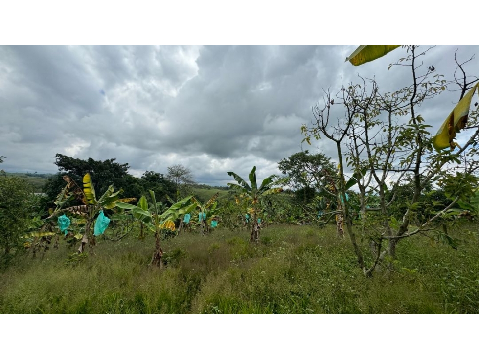 VENTA DE FINCA VEREDA NARANJAL QUIMBAYA QUINDÍO ADAPTABLE PARA TURISMO - 6