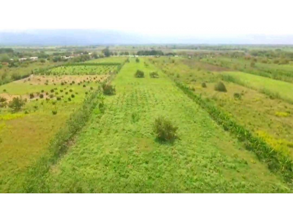 VENTA DE FINCA VIA BUGA - TULUA VALLE - 4