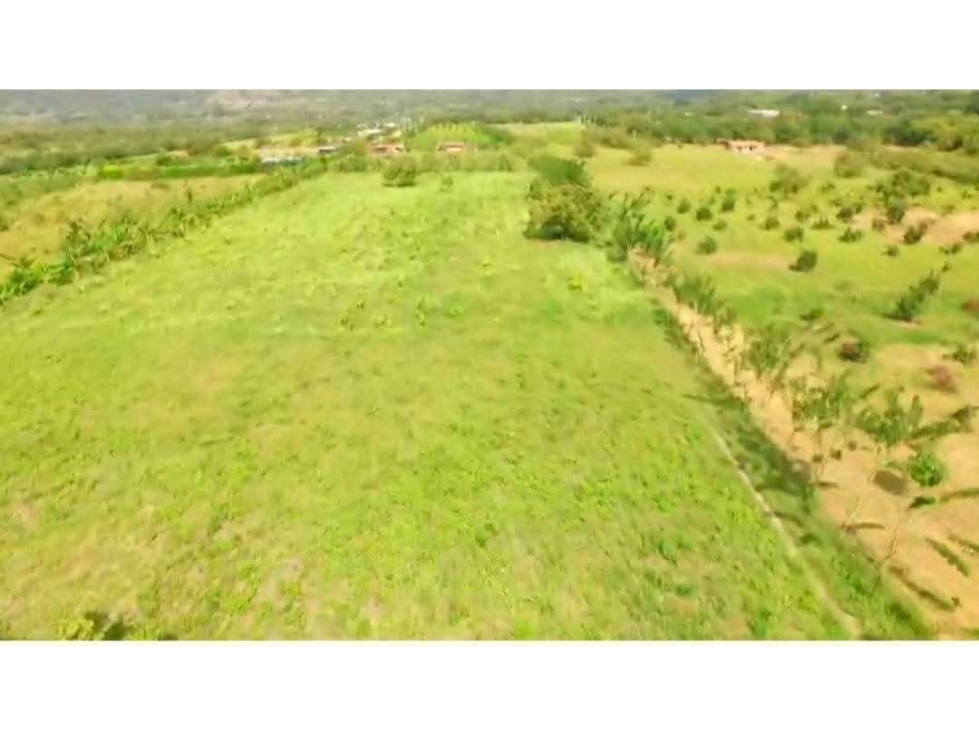 VENTA DE FINCA VIA BUGA - TULUA VALLE - 6