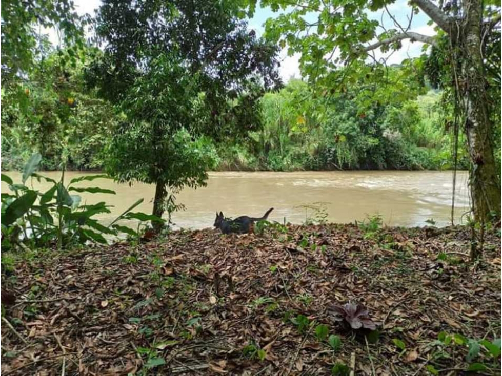 VENTA DE CASA CAMPESTRE VIA CARTAGO - ALCALA - 3
