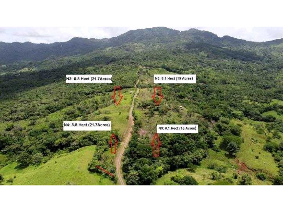 VENTA DE HERMOSA FINCA CERCA DE CORONADO, LIBERTAD Y BELLEZA NATURAL — foto 3