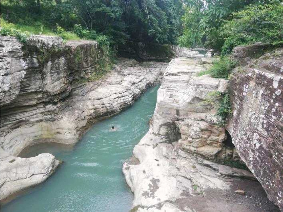 VENTA DE HERMOSA FINCA CERCA DE CORONADO, LIBERTAD Y BELLEZA NATURAL — foto 5