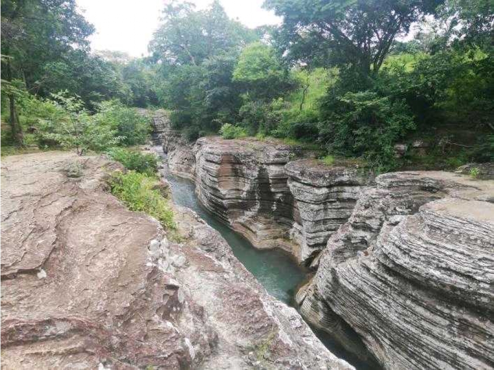 VENTA DE HERMOSA FINCA CERCA DE CORONADO, LIBERTAD Y BELLEZA NATURAL — foto 6