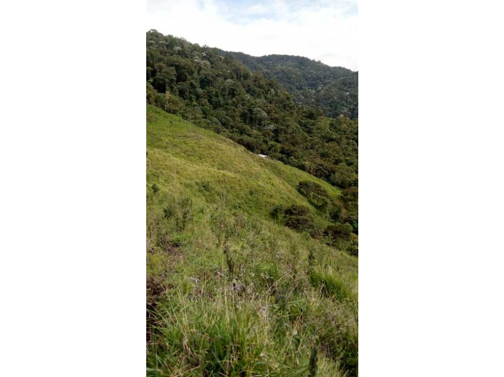 Venta de hermosa finca en Apia Risaralda - 2