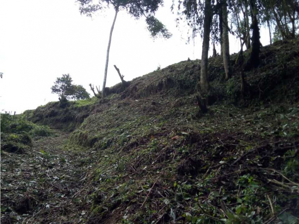 Venta de hermosa finca en Apia Risaralda - 3