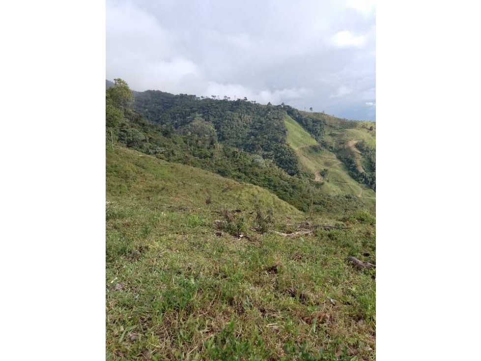 Venta de hermosa finca en Apia Risaralda - 4