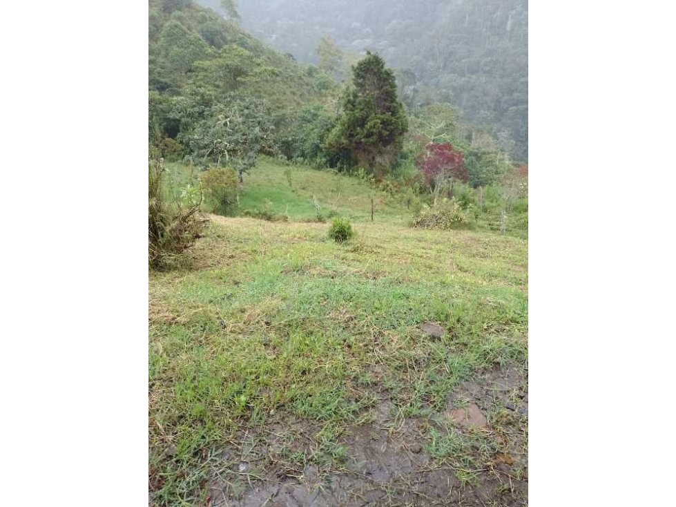 Venta de hermosa finca en Apia Risaralda - 5