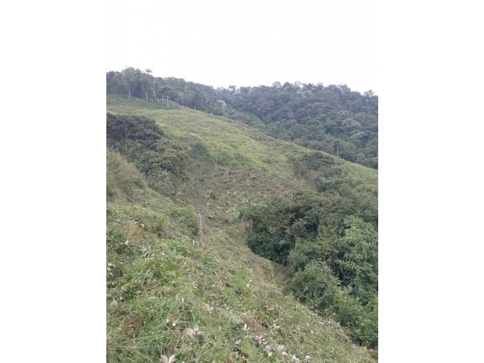 Venta de hermosa finca en Apia Risaralda - 6