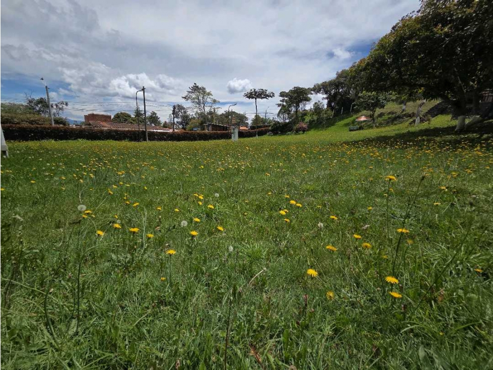 Venta de Hermosa Finca SANTA ELENA 4630m2 — foto 3
