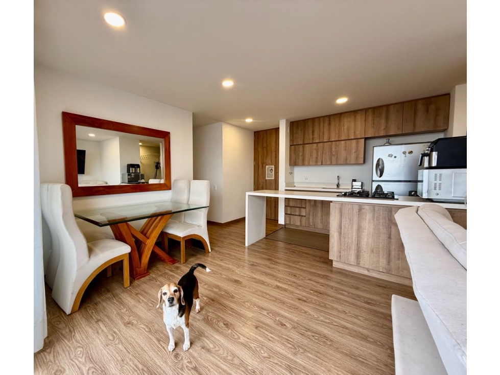 Venta de hermoso apartamento sector el trianon como nuevo — foto 3