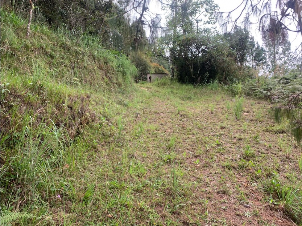 Venta de Hermoso Lote en El Retiro en Reserva Natural Unidad Cerrada — foto 2