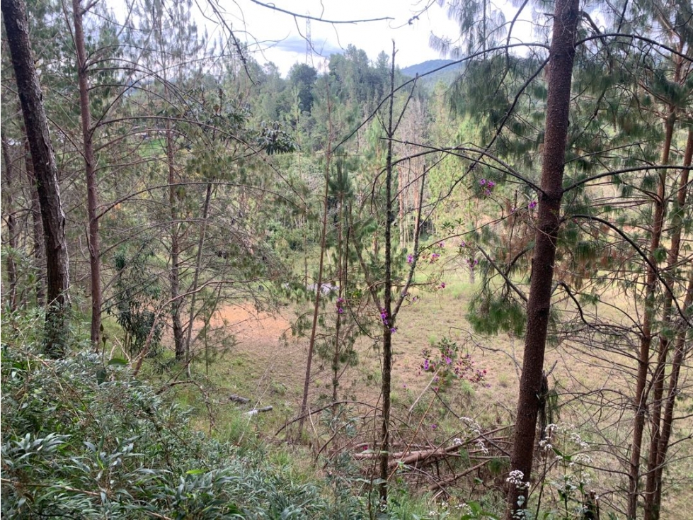 Venta de Hermoso Lote en El Retiro en Reserva Natural Unidad Cerrada — foto 4