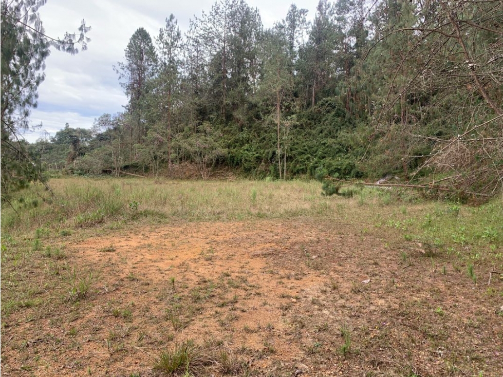 Venta de Hermoso Lote en El Retiro en Reserva Natural Unidad Cerrada