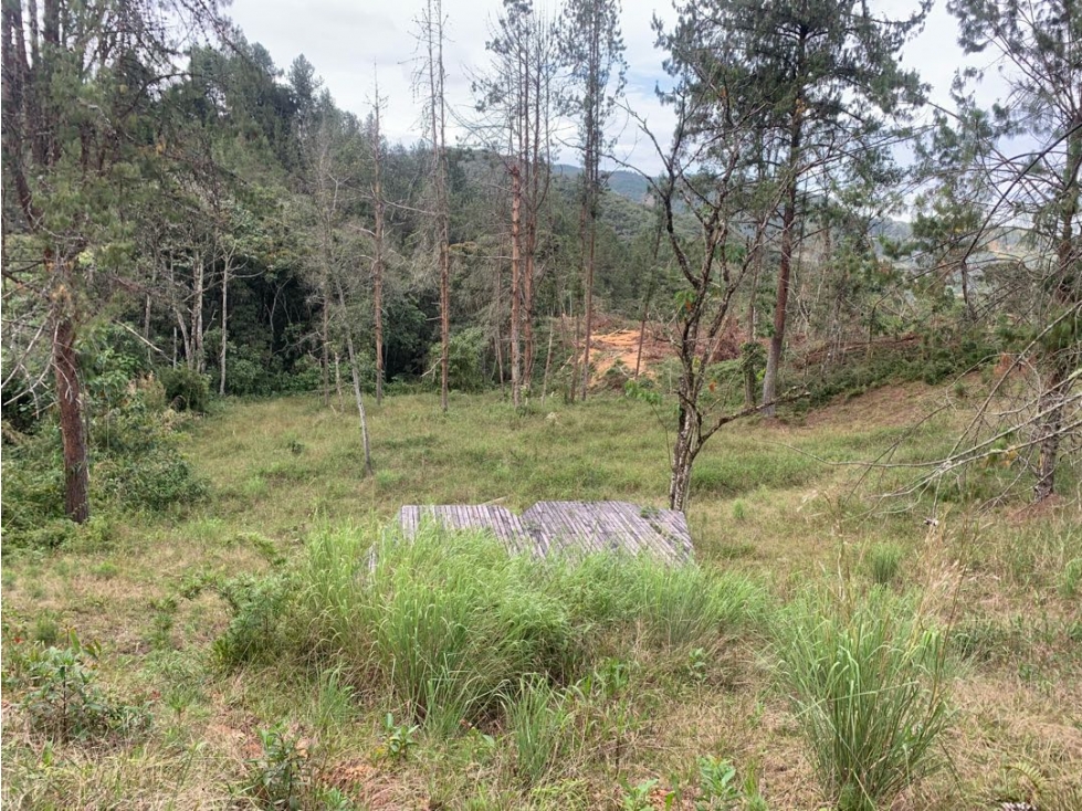 Venta de Hermoso Lote en El Retiro en Reserva Natural Unidad Cerrada — foto 5