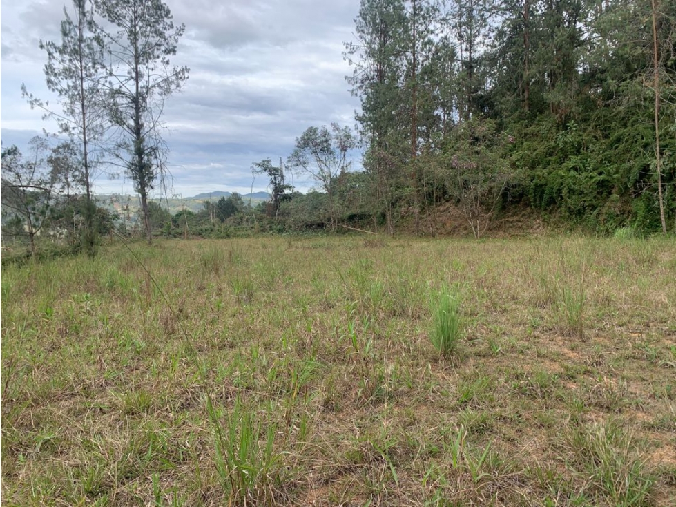 Venta de Hermoso Lote en El Retiro en Reserva Natural Unidad Cerrada — foto 6