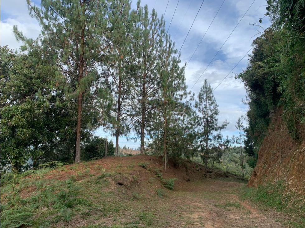 Venta de Hermoso Lote en El Retiro en Reserva Natural Unidad Cerrada — foto 2