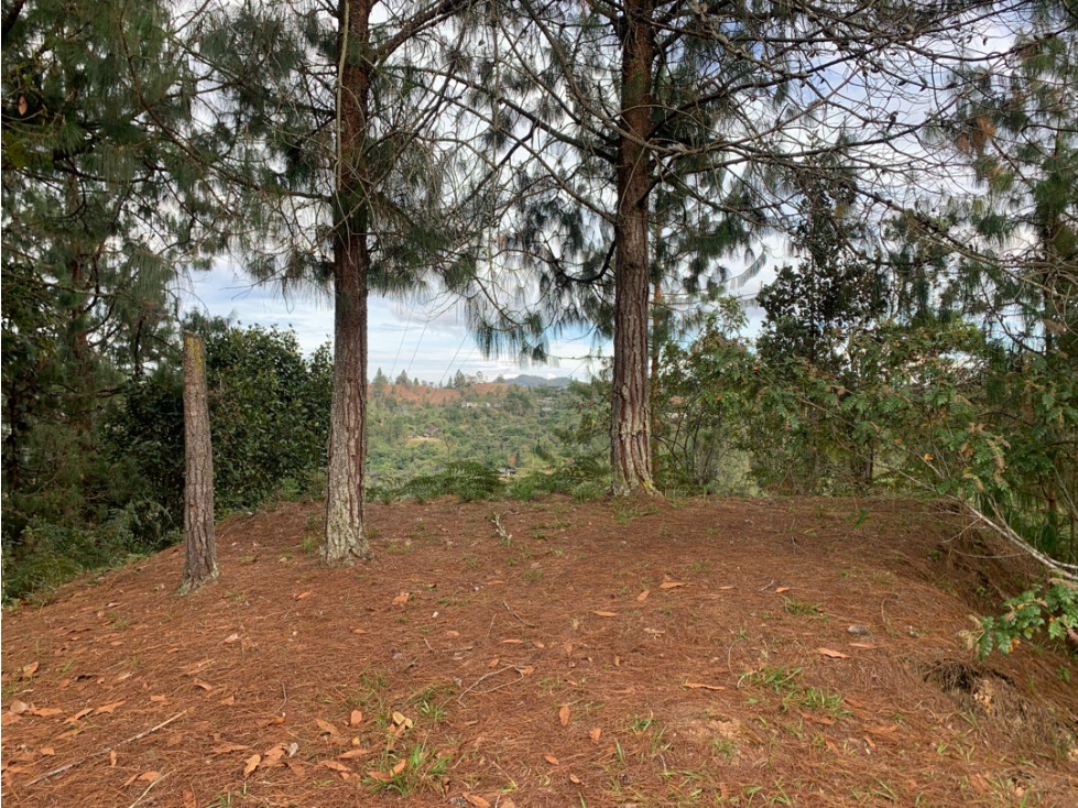 Venta de Hermoso Lote en El Retiro en Reserva Natural Unidad Cerrada — foto 3