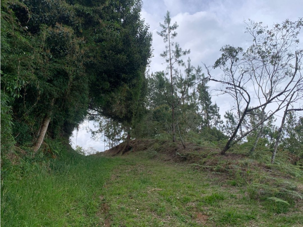 Venta de Hermoso Lote en El Retiro en Reserva Natural Unidad Cerrada — foto 5