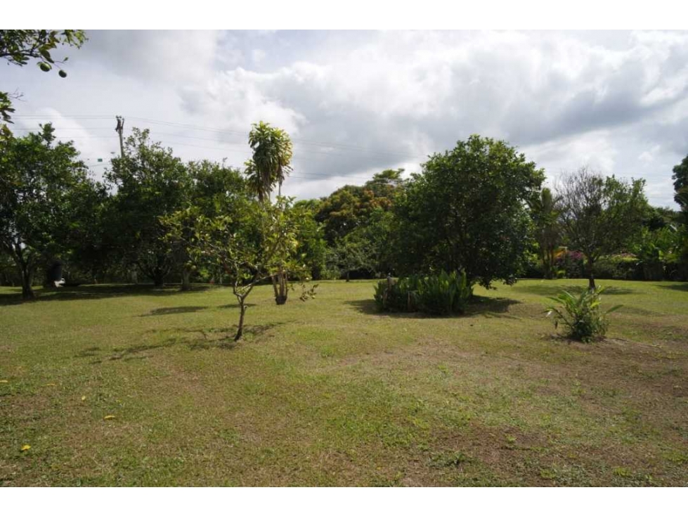 Venta de hermoso lote en La Tebaida Quindio