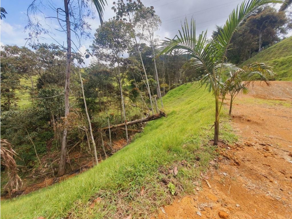 Venta de Hermoso lote en unidad cerrada vía san Antonio la Ceja — foto 6