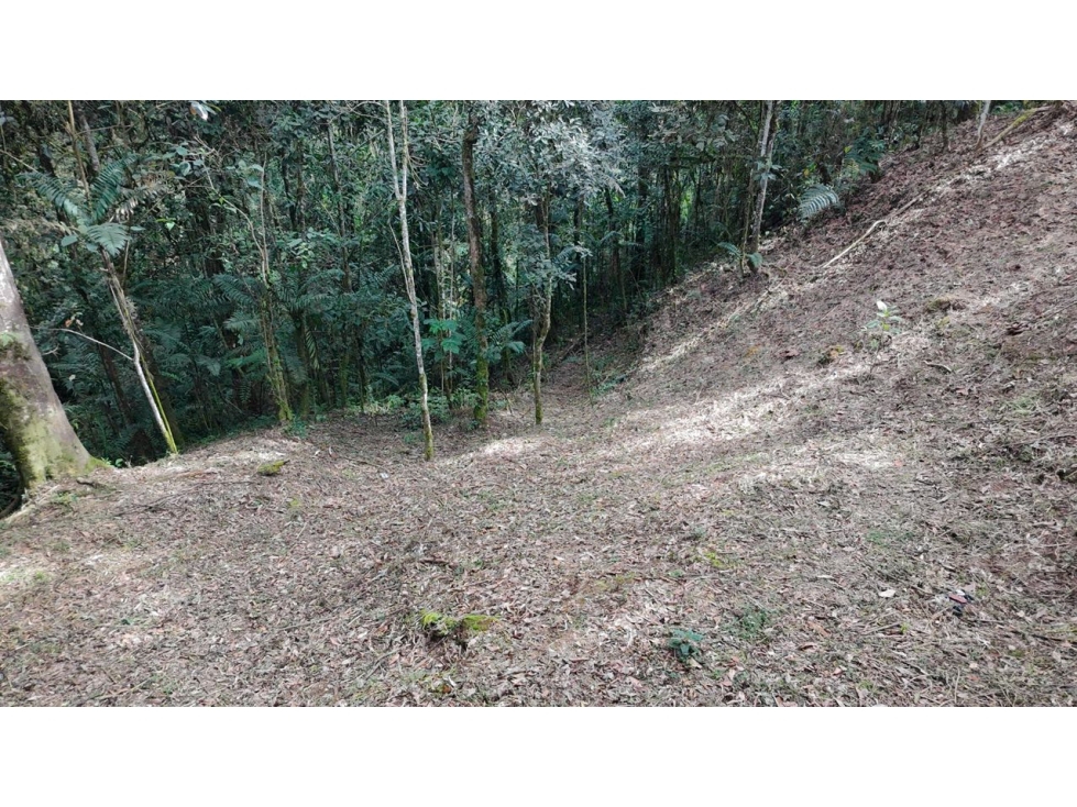 Venta de Hermoso Lote Rodeado de Bosques Natural en Unidad Cerrada