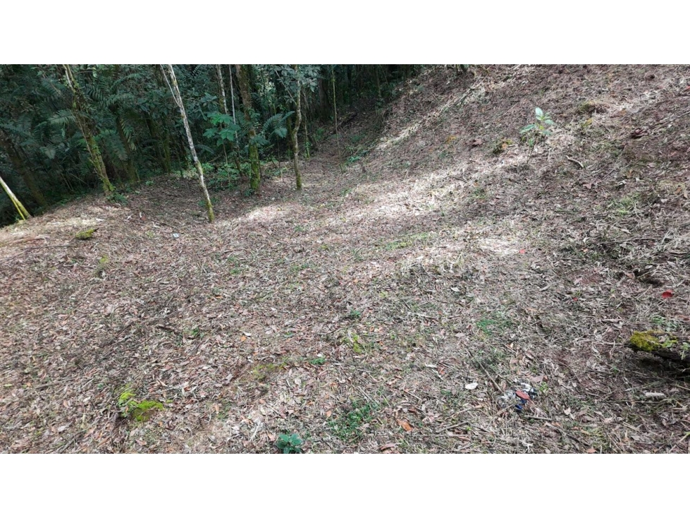 Venta de Hermoso Lote Rodeado de Bosques Natural en Unidad Cerrada — foto 2