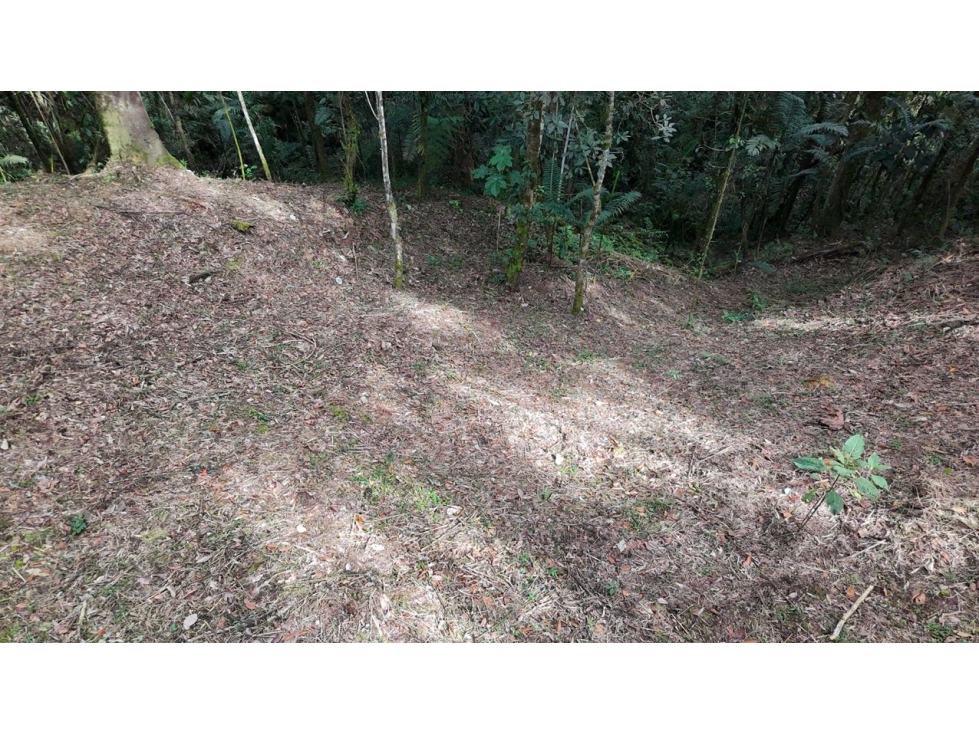 Venta de Hermoso Lote Rodeado de Bosques Natural en Unidad Cerrada — foto 3