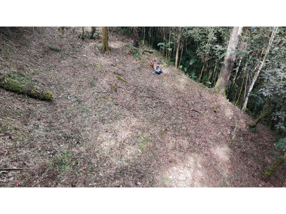 Venta de Hermoso Lote Rodeado de Bosques Natural en Unidad Cerrada — foto 4